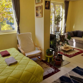 Peaceful studio in the city center, close to subway, Medical University